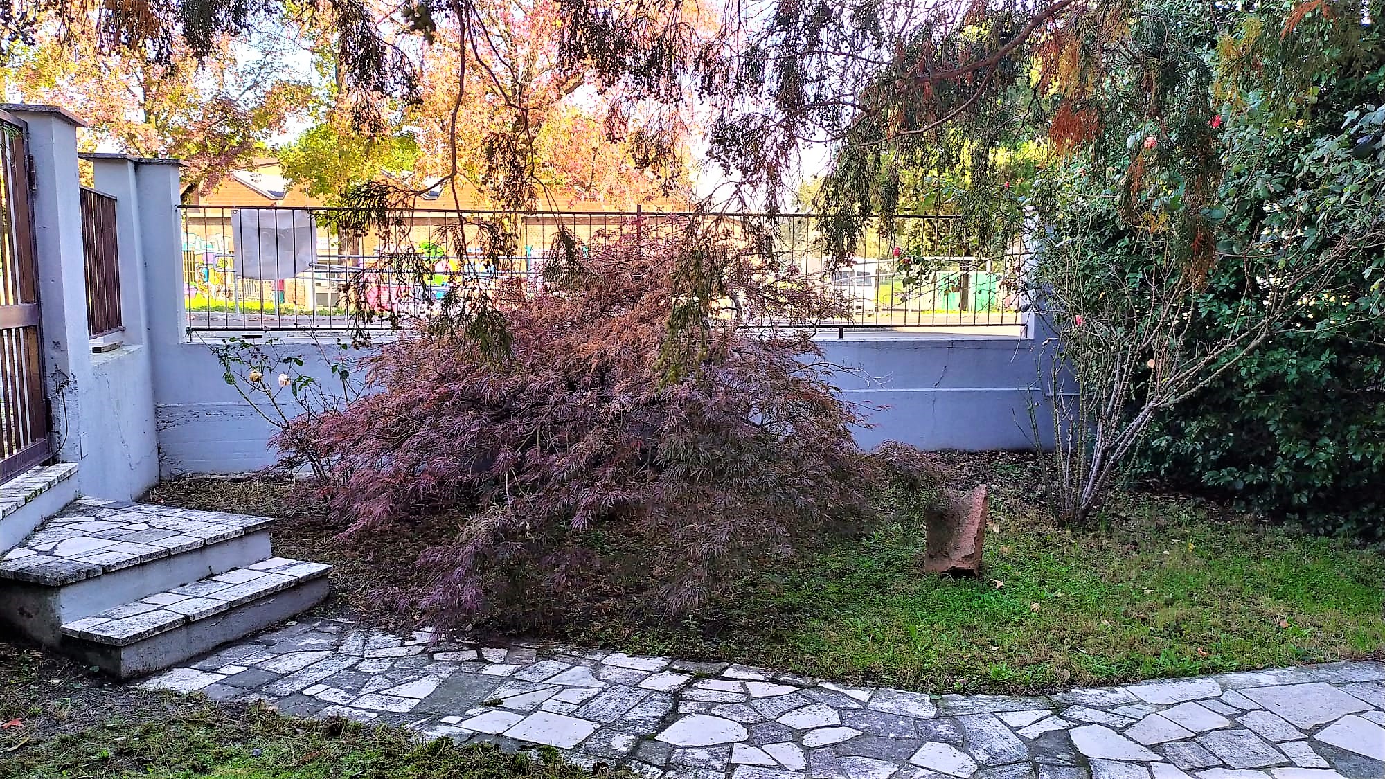 03 Alloggio Bilo Giardino 05