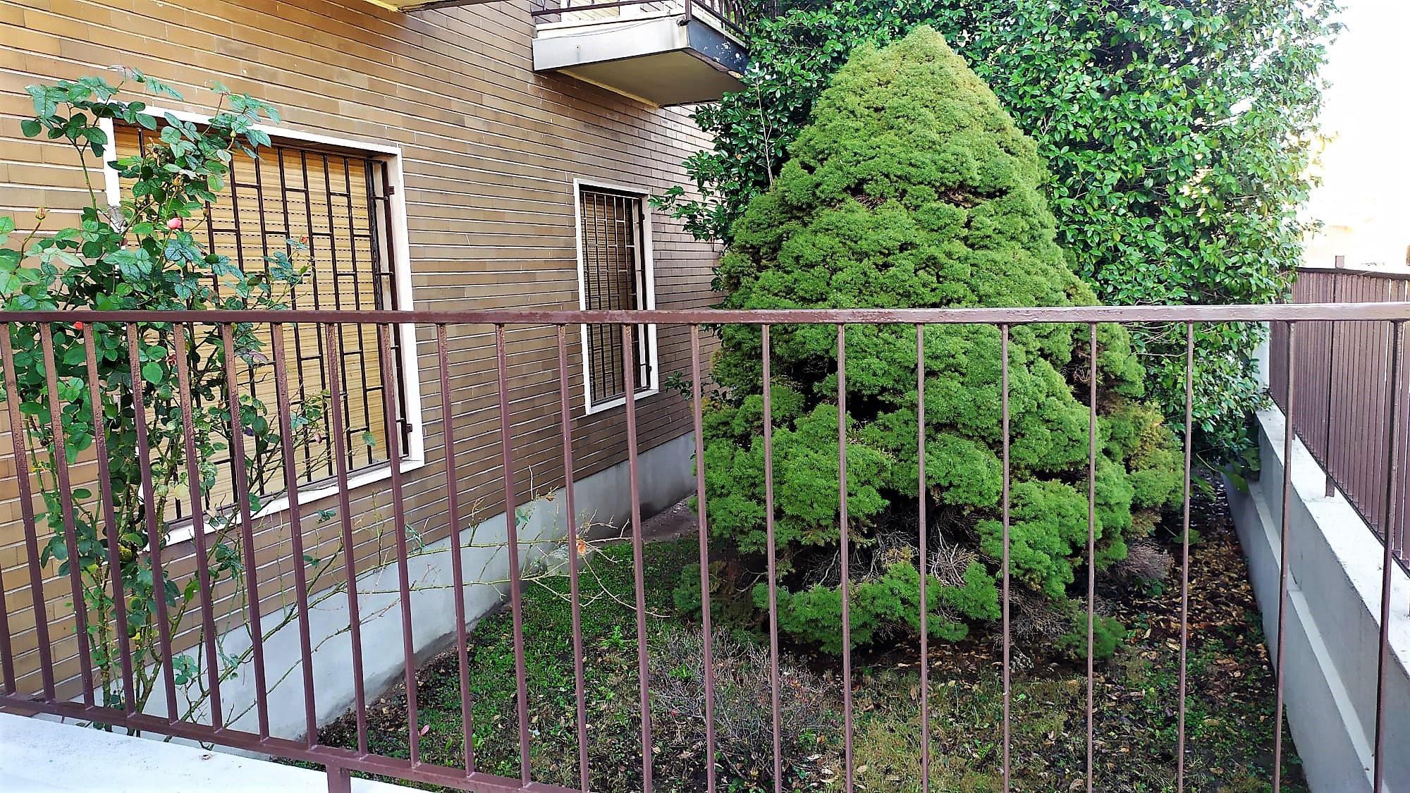 03 Alloggio Bilo Giardino 06