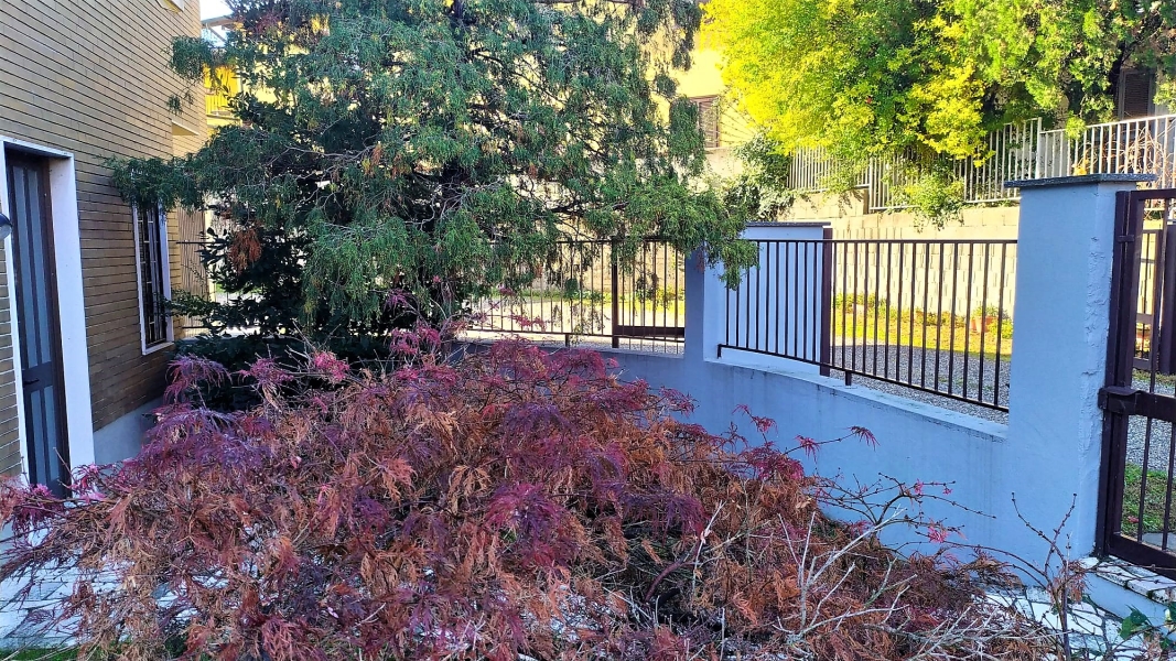 03 Alloggio Bilo Giardino 10