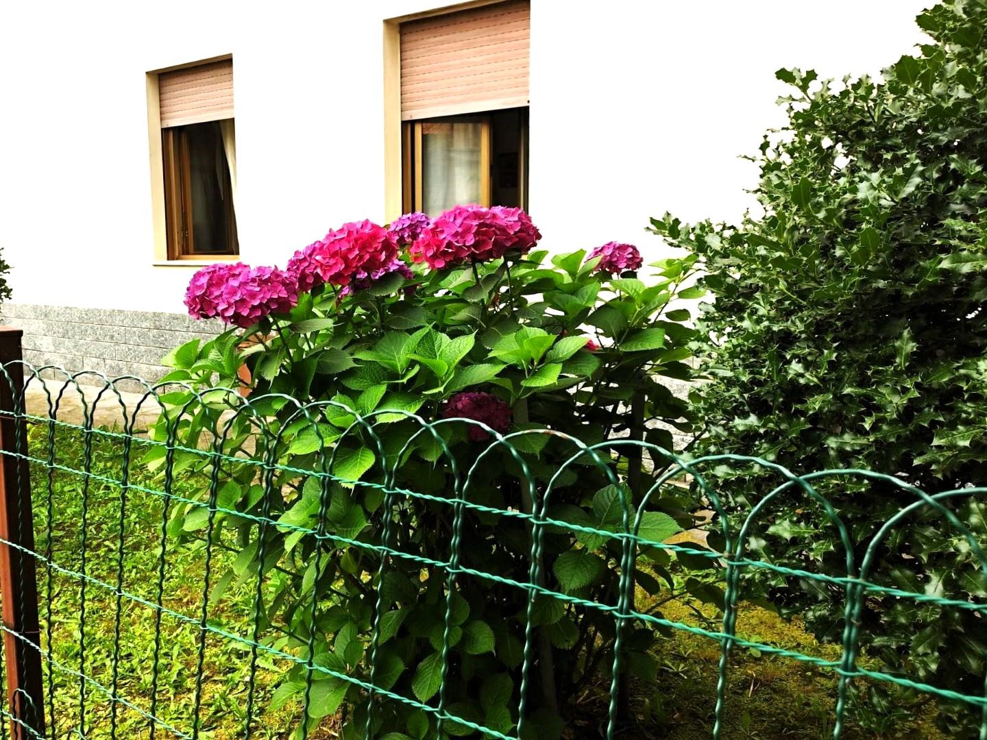 2GV000155 Casa Semi Indipendente Vanzaghello Milano 00 Facciata 08