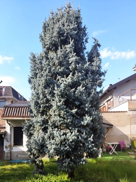 2GV000201 Vendita Villa Indipendente Trecate NO 70 Varie 05