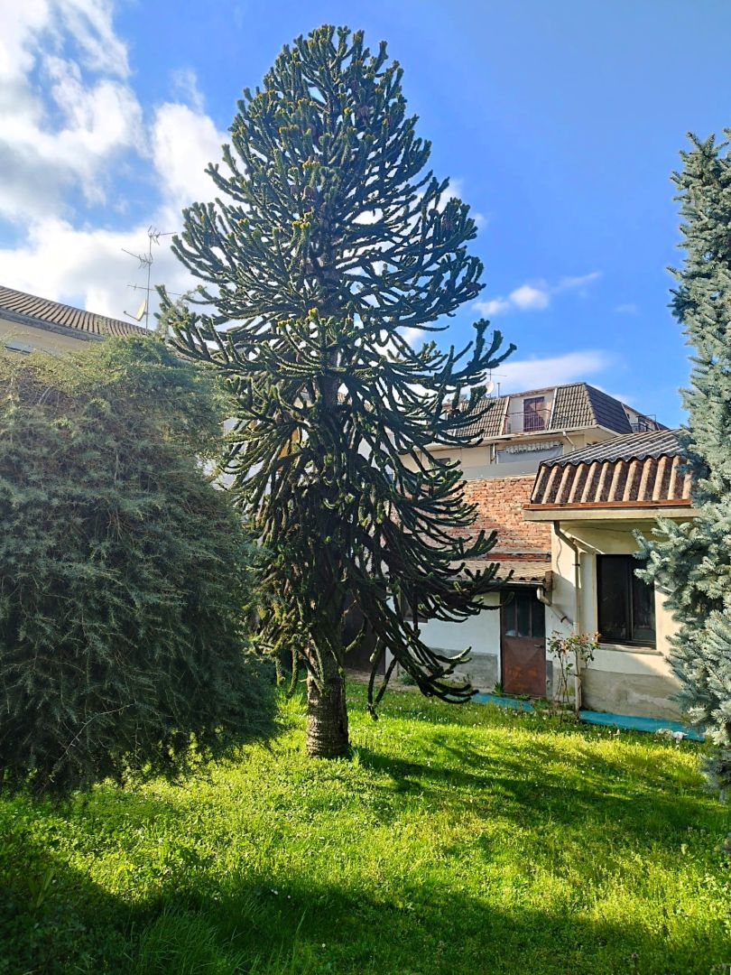 2GV000201 Vendita Villa Indipendente Trecate NO 70 Varie 08